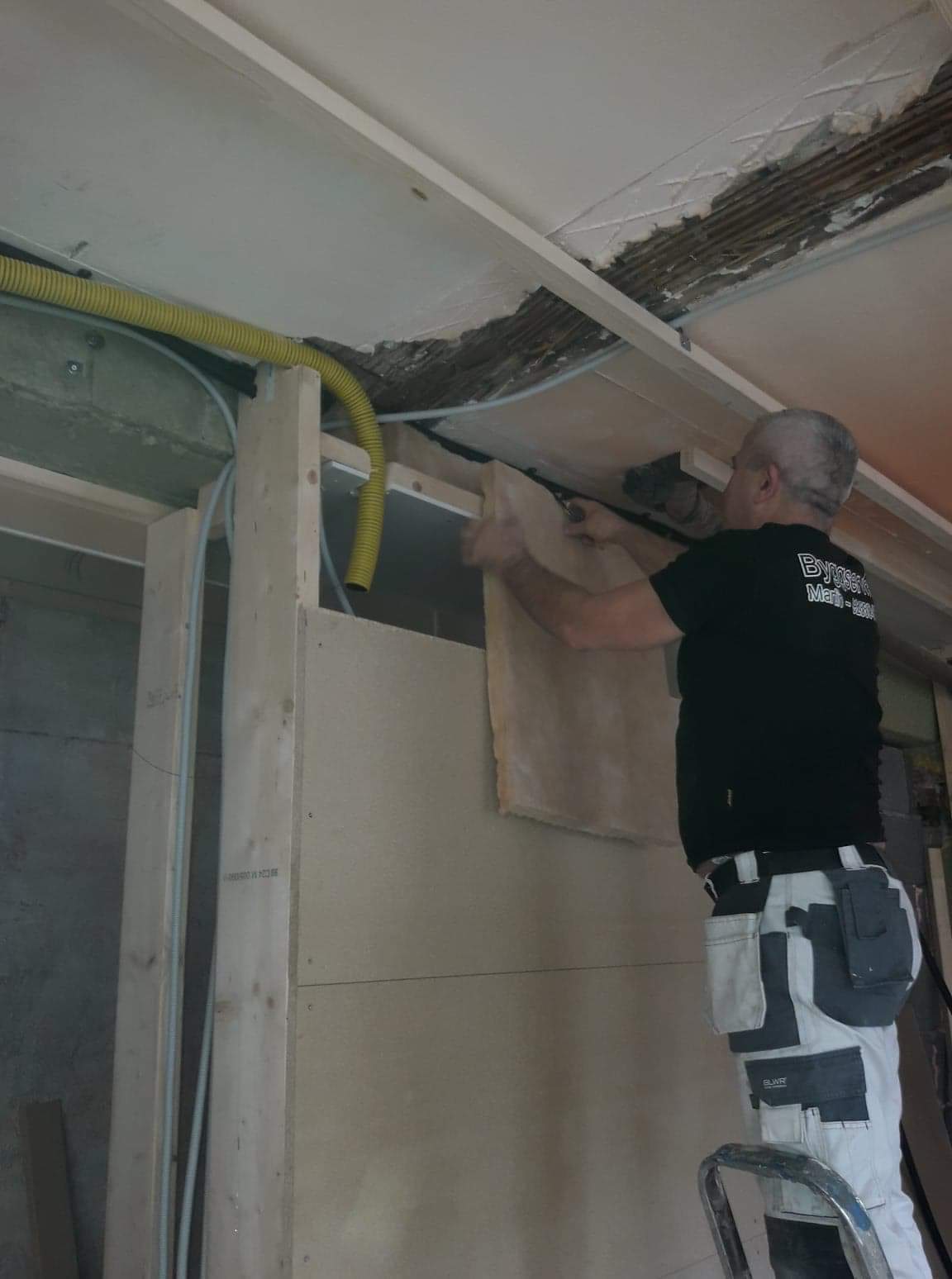 received_2397802817169951-1