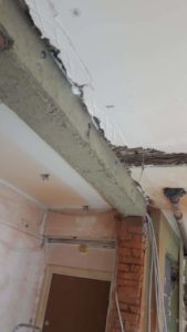 received_2421363101261988-1