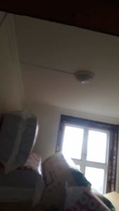 received_372945803345881-1