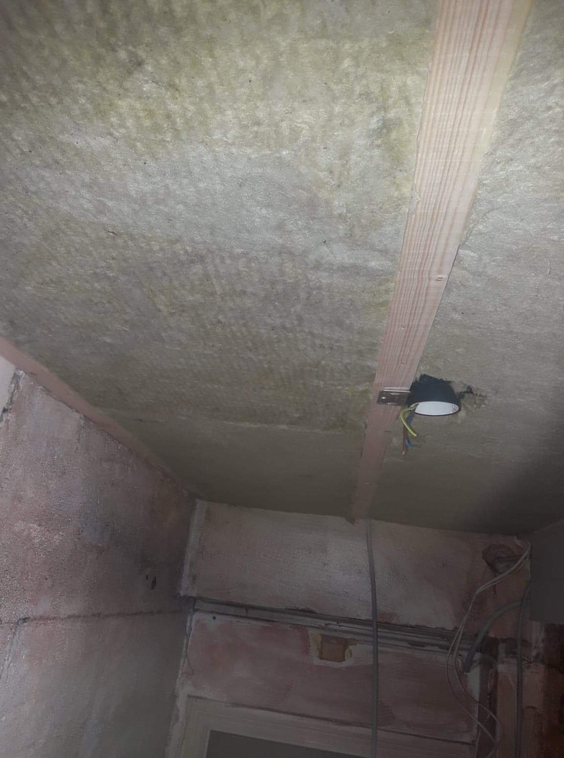 received_930828943931208-1