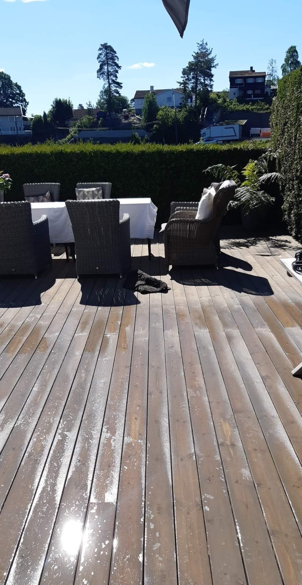 received_264263931580812