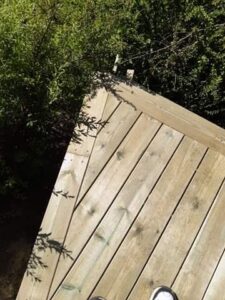 received_295573781454371