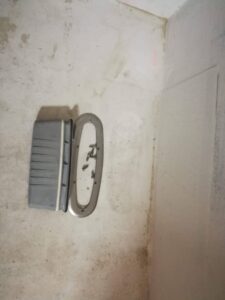 received_3163362760390240